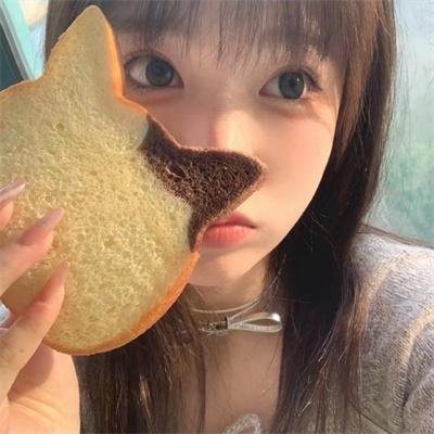 拜访森林